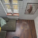 Corner * Krakkó